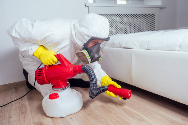 Best Pest Control for Hotels  in Lebanon Junction, KY